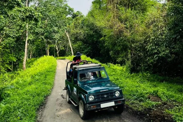 Jeep safari on forest trail